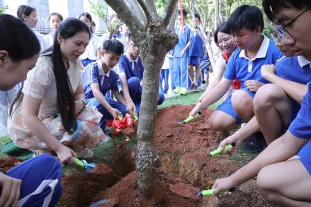 以树寄初心，初心伴远行——水田小学开展毕业主题植树活动