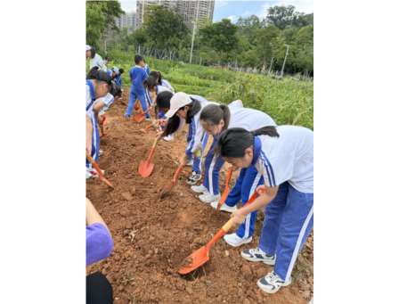 躬身田园悟农时 知行合一促成长——翠竹外国语实验学校“每周半天计划”走进翠湖文体中心