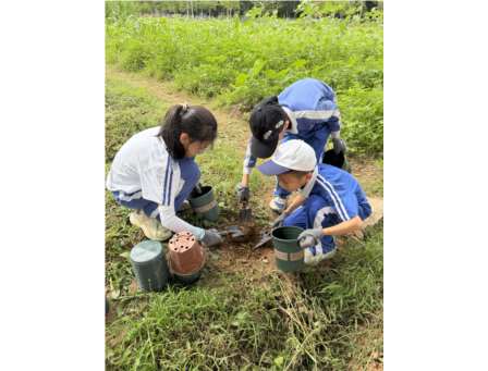 躬身田园悟农时 知行合一促成长——翠竹外国语实验学校“每周半天计划”走进翠湖文体中心