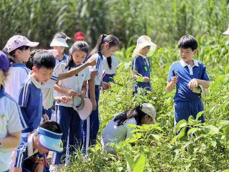 躬身田园悟农时 知行合一促成长——翠竹外国语实验学校“每周半天计划”走进翠湖文体中心