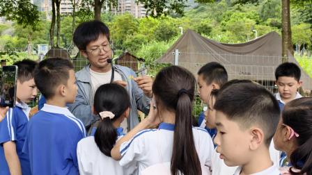 躬身田园悟农时 知行合一促成长——翠竹外国语实验学校“每周半天计划”走进翠湖文体中心