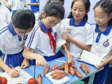 科技点燃梦想，创新引领未来——深圳市莲南教育集团安芳小学举办数学科创文化节