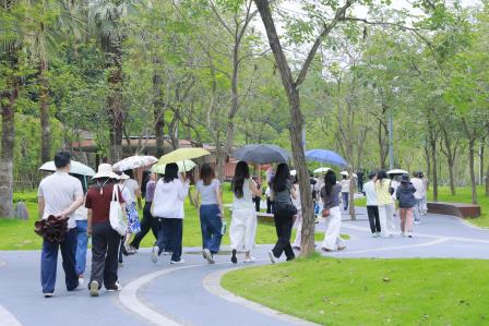 风雨踏绿道，同心赴山海——深圳市仙桐实验小学组织教职工淘金山绿道徒步工会活动