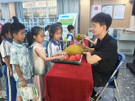拓维课程融实践，夏日生活启童心——深圳市新秀小学一二年级学科融合游园活动精彩纷呈