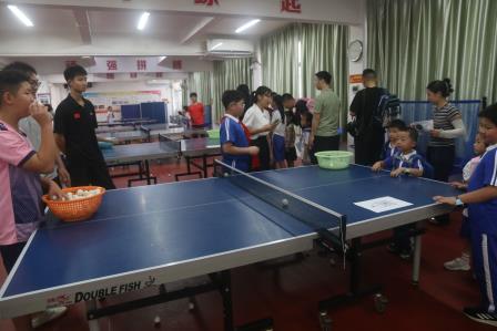 萌新启稚韵 探秘新秀园——深圳市新秀小学2026年秋季一年级新生入学仪式暨校园探秘活动圆满结束