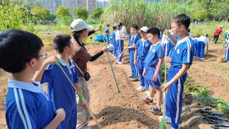 翻地播种正当时，劳动实践收获多——深圳市水库小学开展“知行四季”秋冬季第一节课程