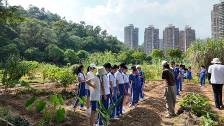 翻地播种正当时，劳动实践收获多——深圳市水库小学开展“知行四季”秋冬季第一节课程