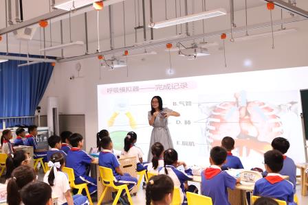深耕人机协同，赋能课堂生长——深圳市莲南教育集团安芳小学迎接罗湖区“百人听千课”视导活动
