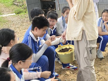 秋实满枝，知行合一——太白实验学校开启2026年秋季学期“每周半天计划”课程